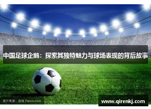 中国足球企鹅：探索其独特魅力与球场表现的背后故事