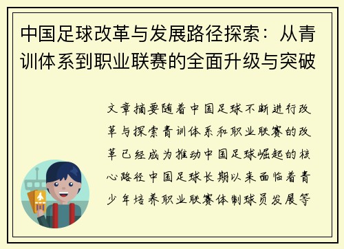 中国足球改革与发展路径探索：从青训体系到职业联赛的全面升级与突破
