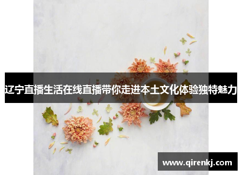 辽宁直播生活在线直播带你走进本土文化体验独特魅力
